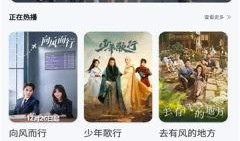 91在线视频国产,国产生态下的创新与崛起